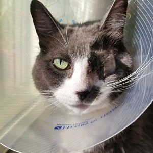 Meet your Posher, Caitlin